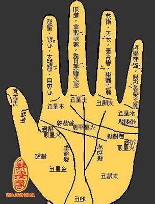 掌心 痣